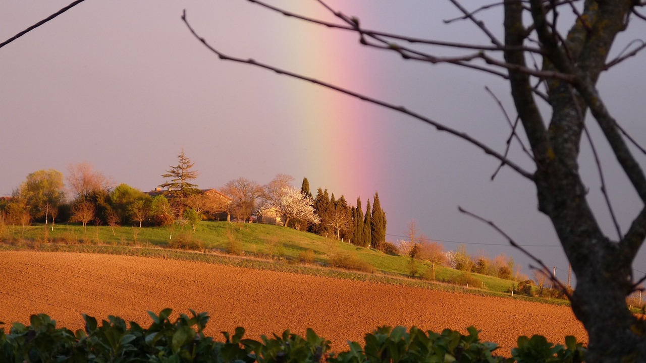 Photo of Others in Rieux-Volvestre