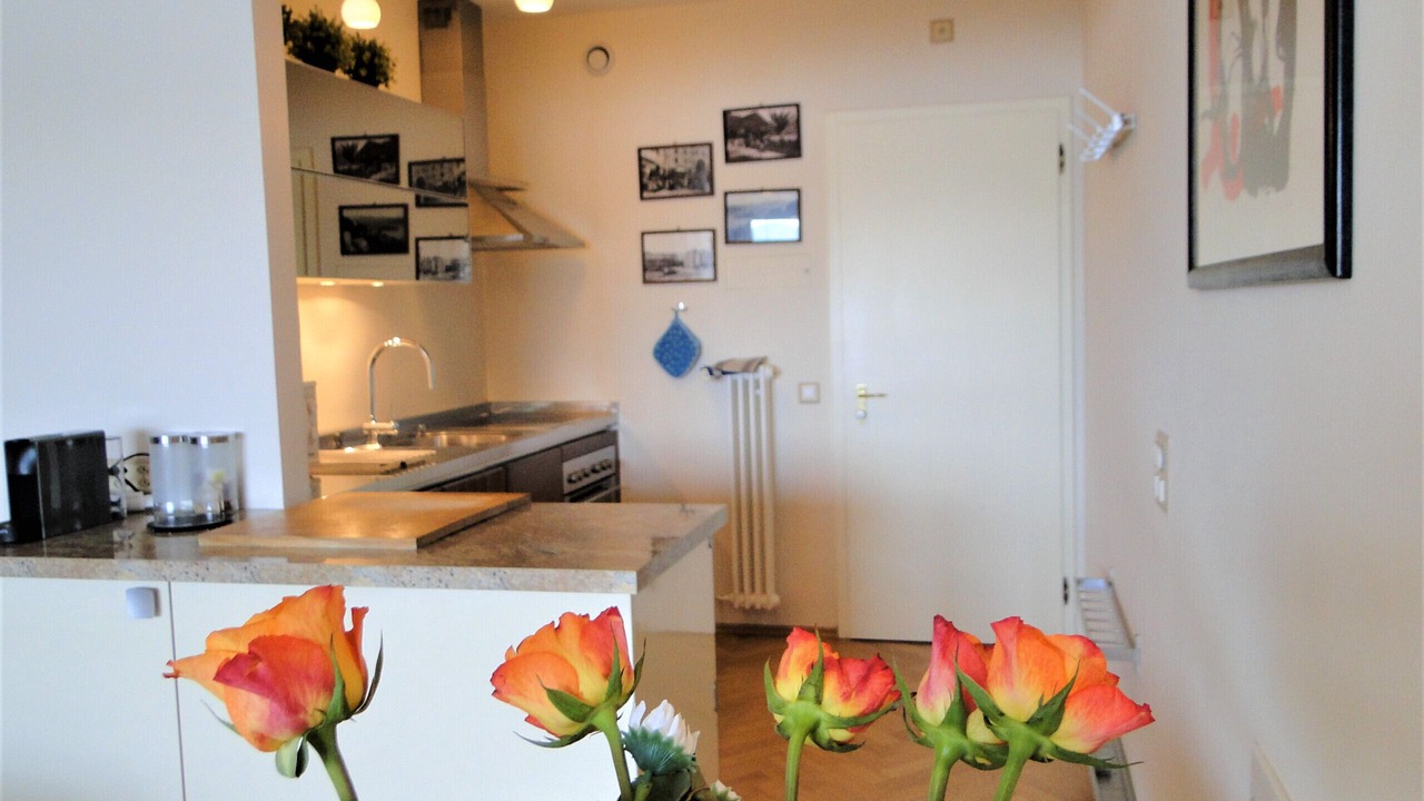 Photo of Kitchen in Lugano