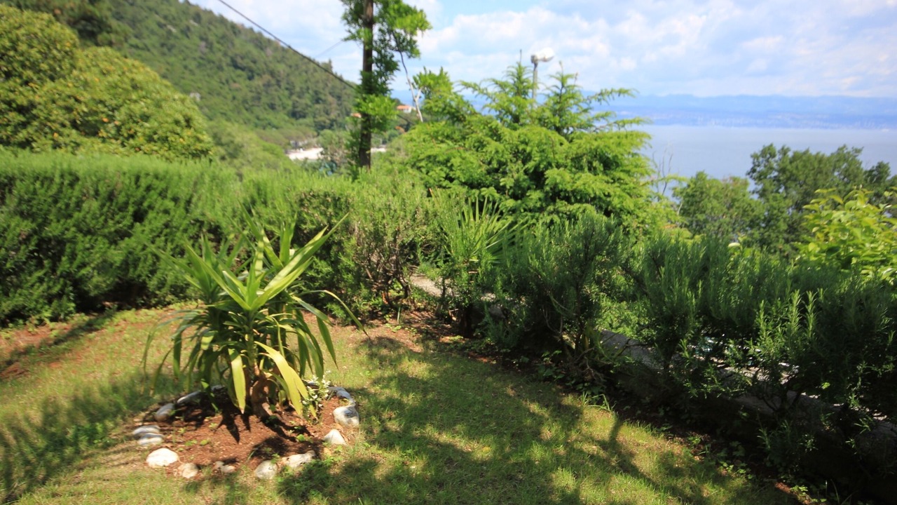 Photo of Outdoor in Medveja