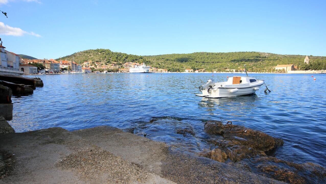 Photo of Others in Vis