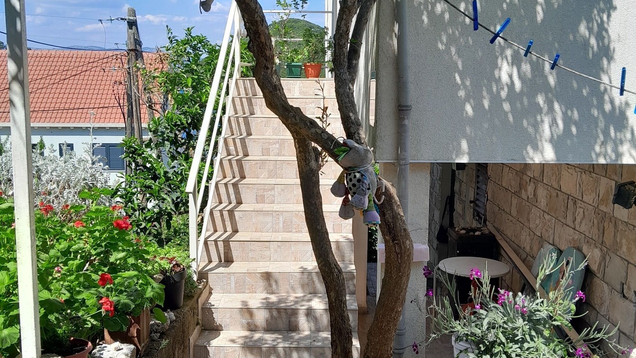 Photo of Outdoor in Prozurska Luka