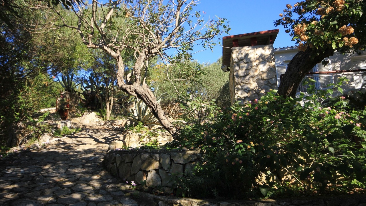 Photo of Outdoor in Cove Rogacic