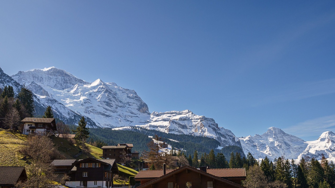 Photo of Others in Wengen