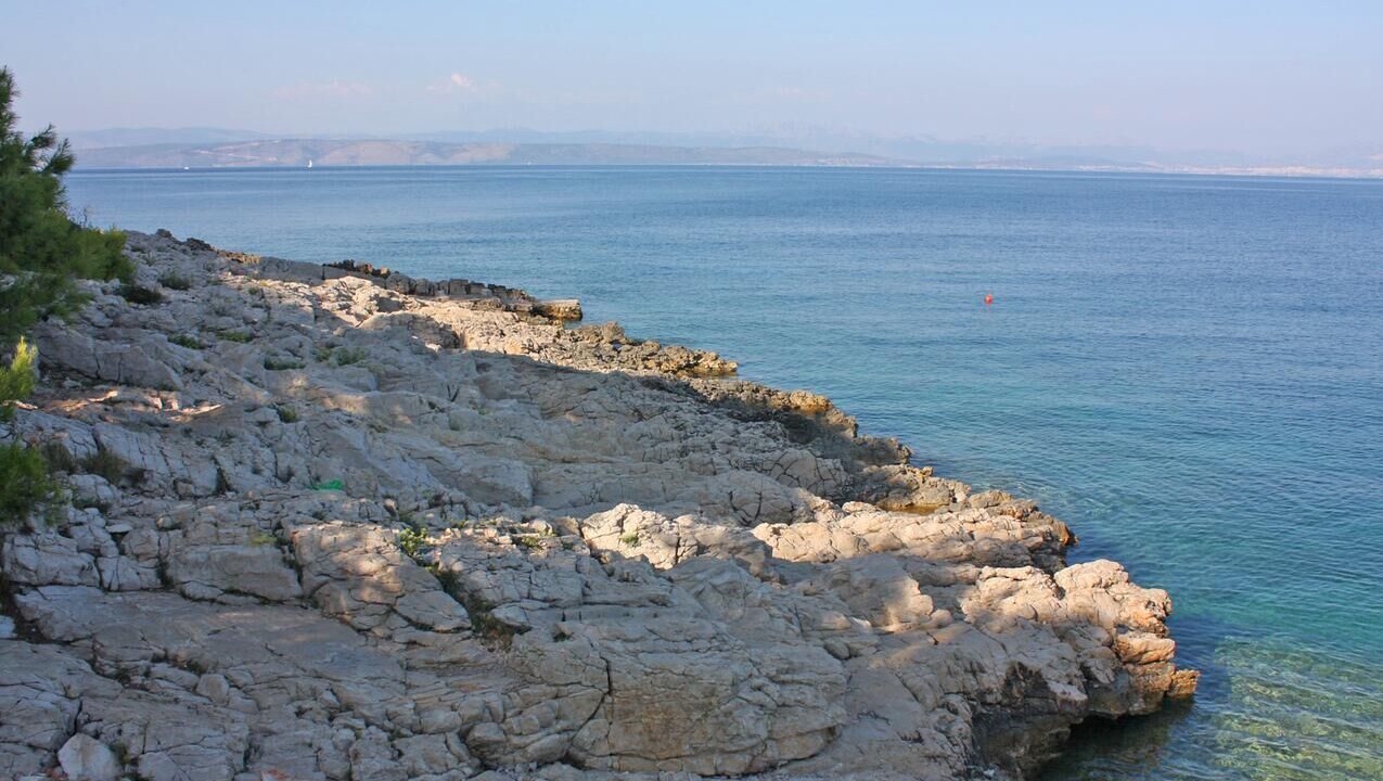 Photo of Others in Rogac