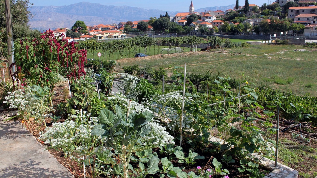 Photo of Outdoor in Postira