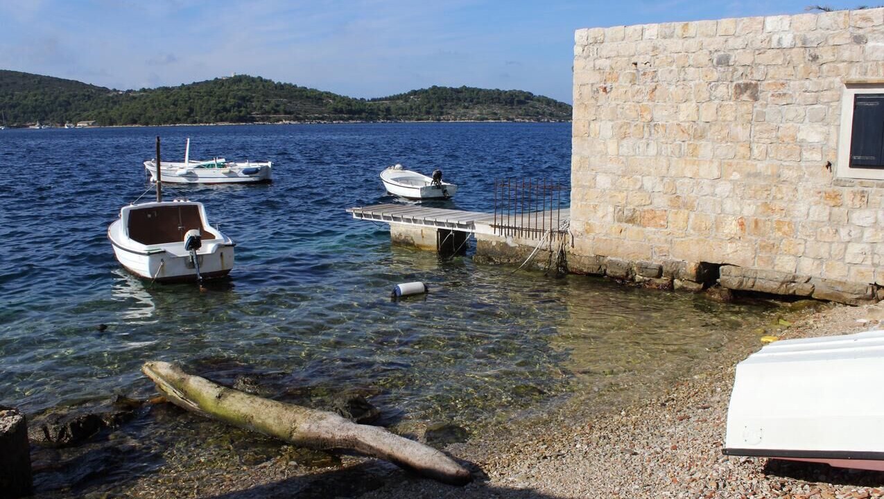 Photo of Others in Vis