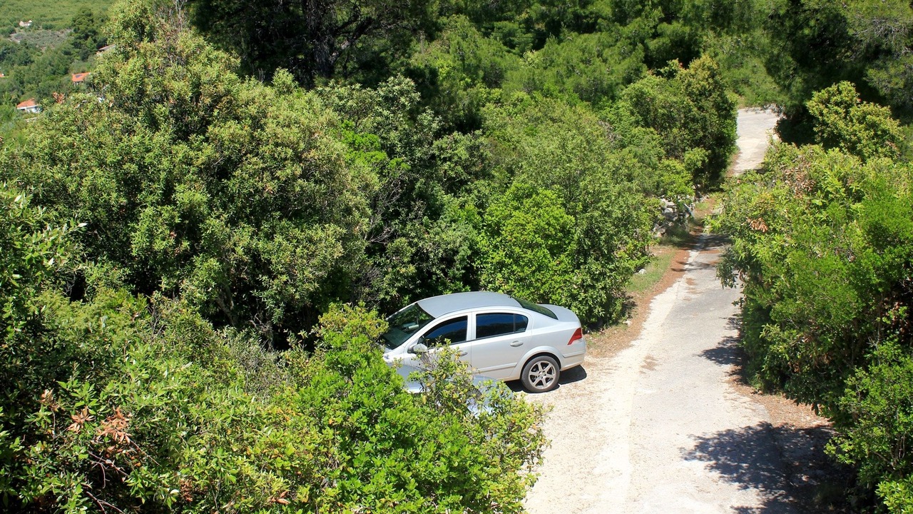 Photo of Others in Blato