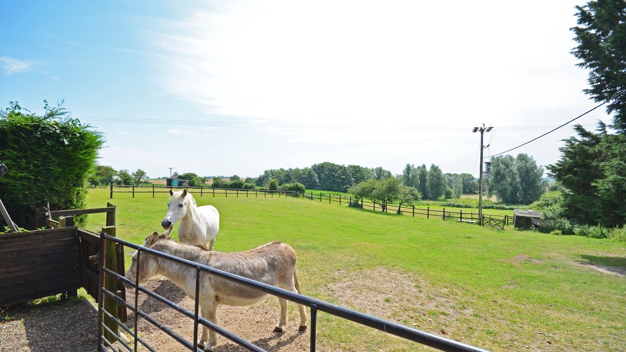 Photo of Others in Hopton