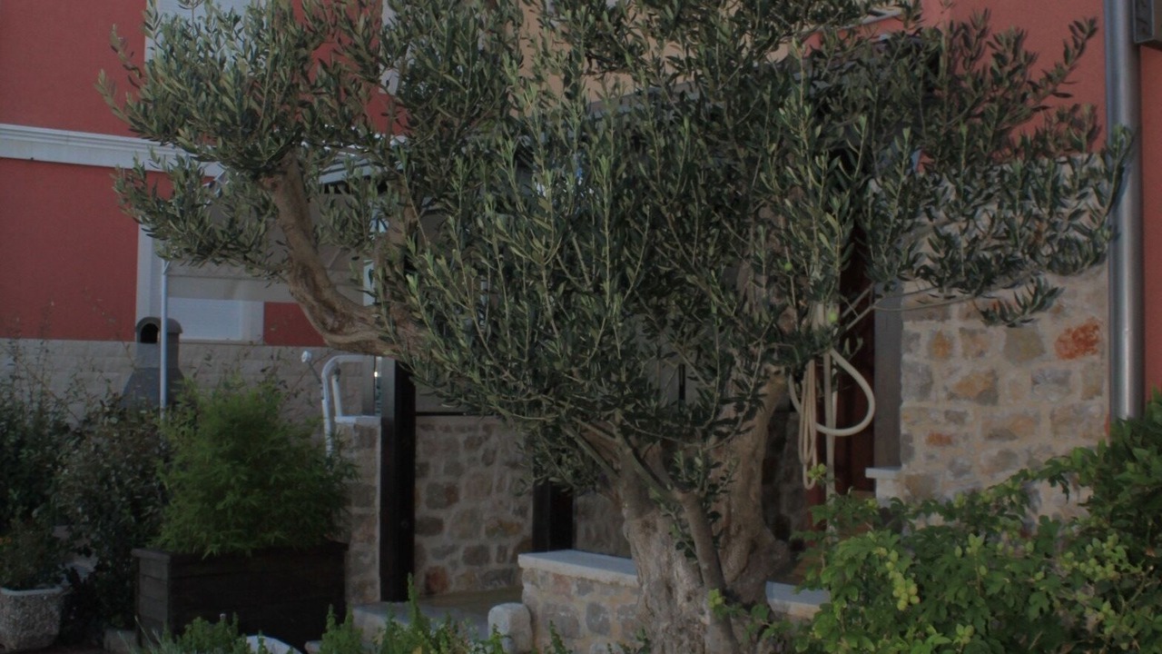 Photo of Outdoor in Poljana