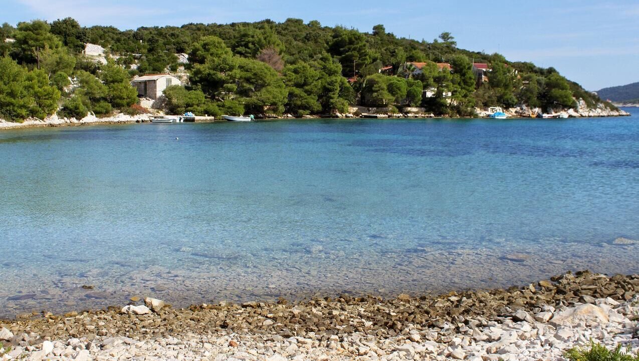 Photo of Others in Cove Rogacic