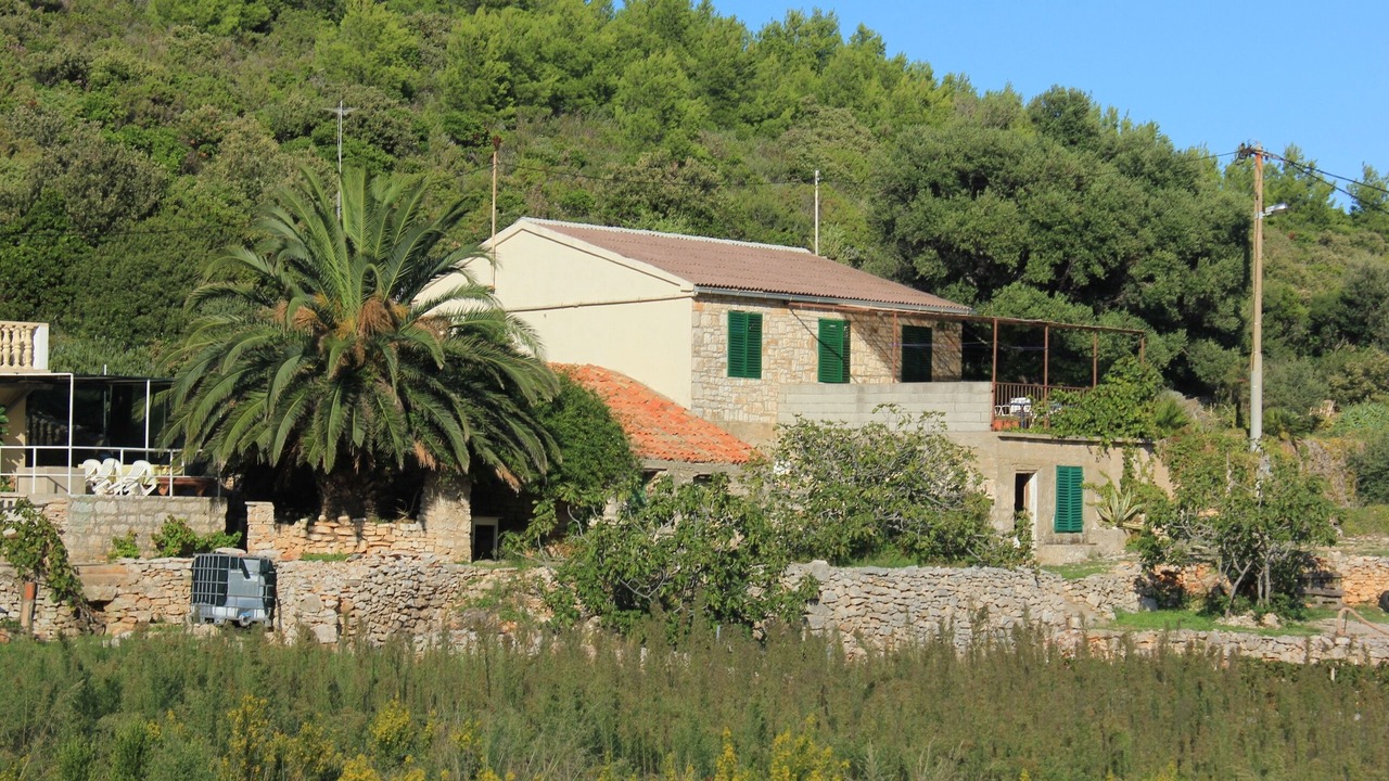 Photo of Outdoor in Cove Rogacic