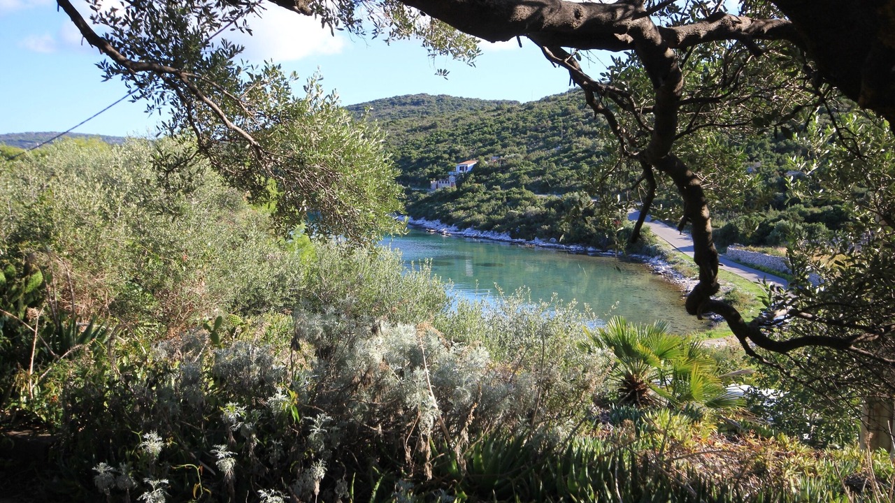 Photo of Outdoor in Cove Rogacic