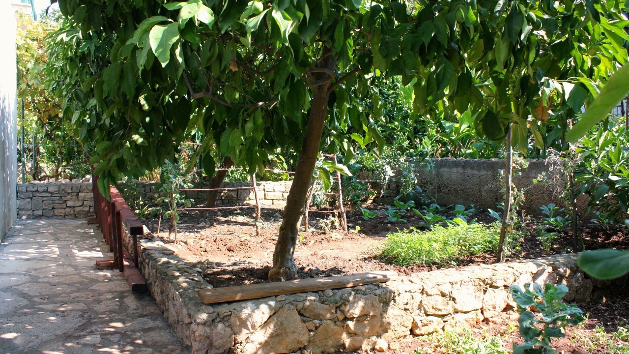Photo of Outdoor in Mirce