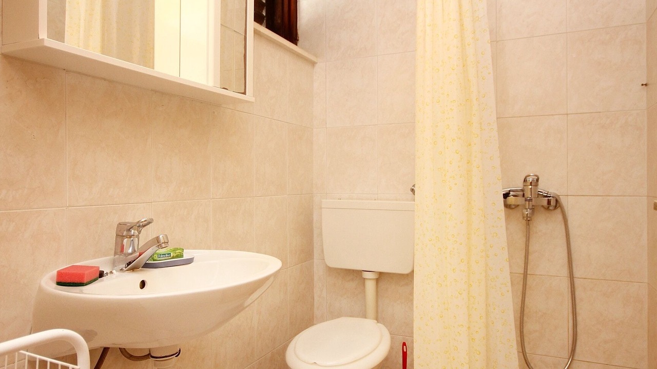 Photo of Bathroom in Zrnovo