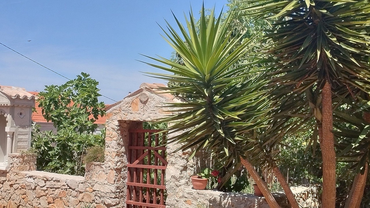 Photo of Outdoor in Veli Losinj