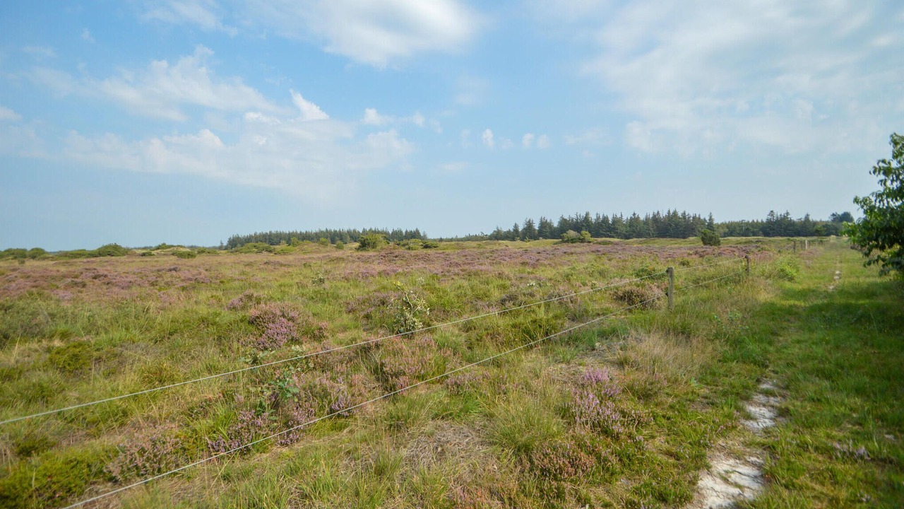 Photo of Others in Arrild Ferieby