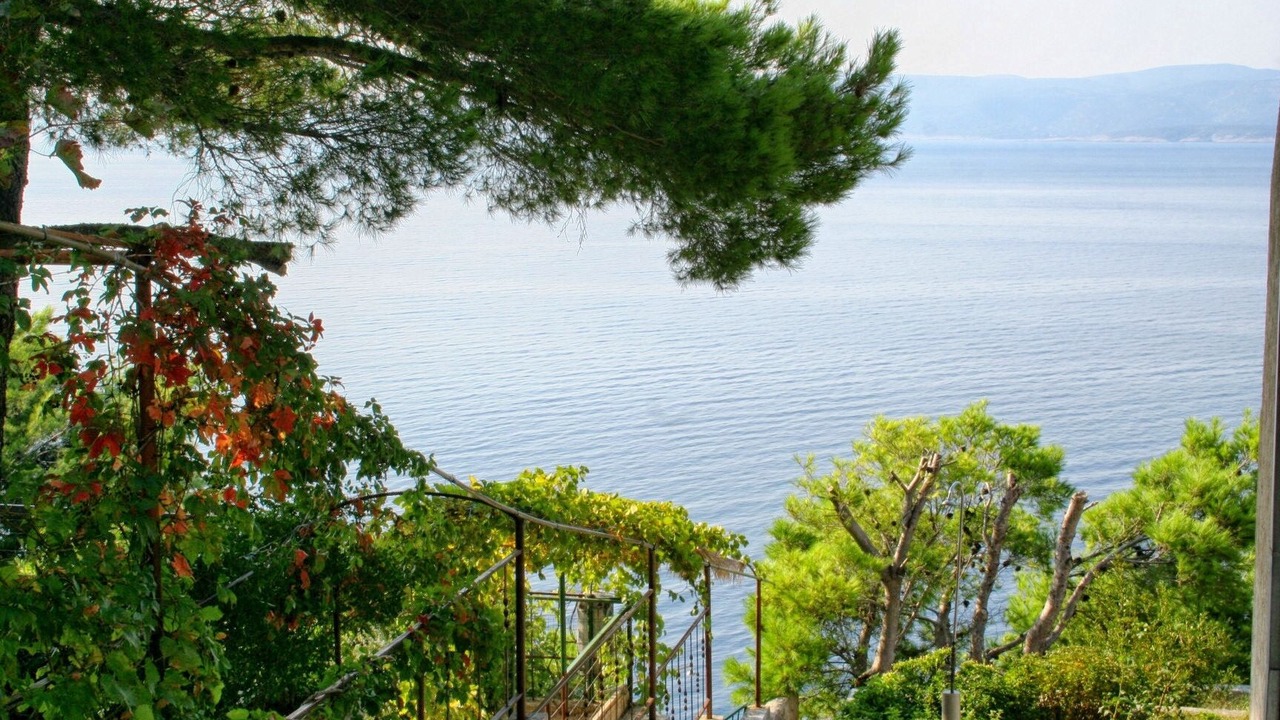 Photo of Others in Marusici