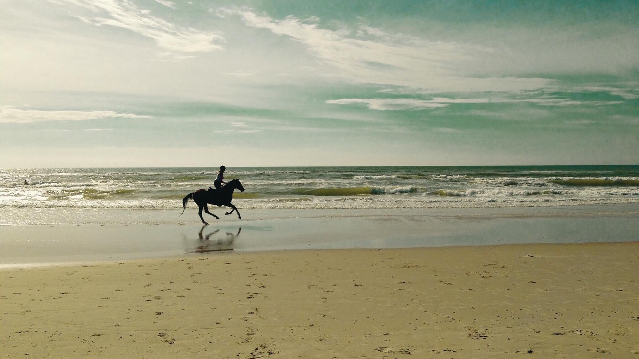 Photo of Others in Houvig