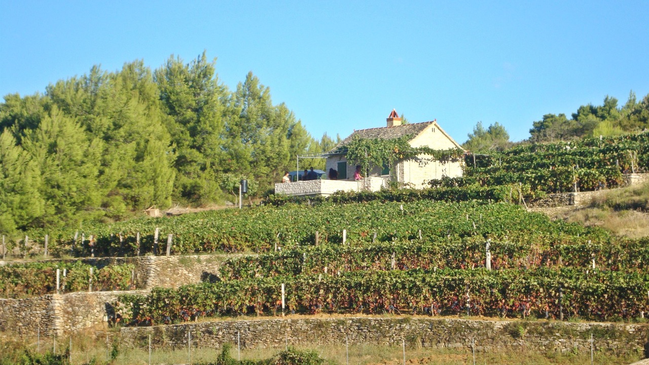 Photo of Outdoor in Praznica