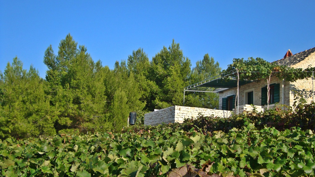 Photo of Outdoor in Praznica