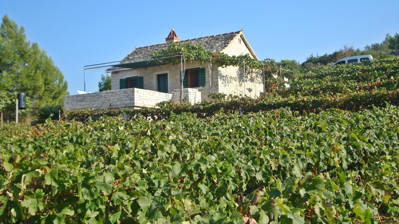 Photo of Outdoor in Praznica