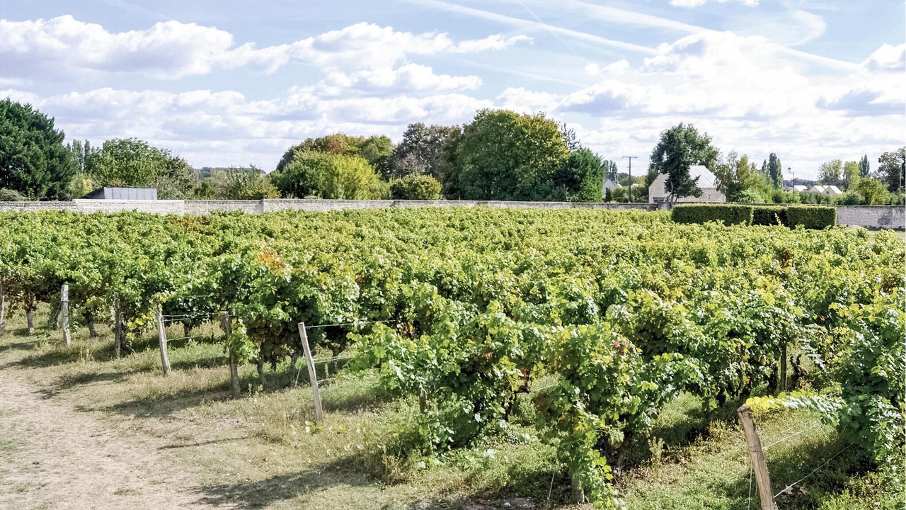 Photo of Others in Riviere