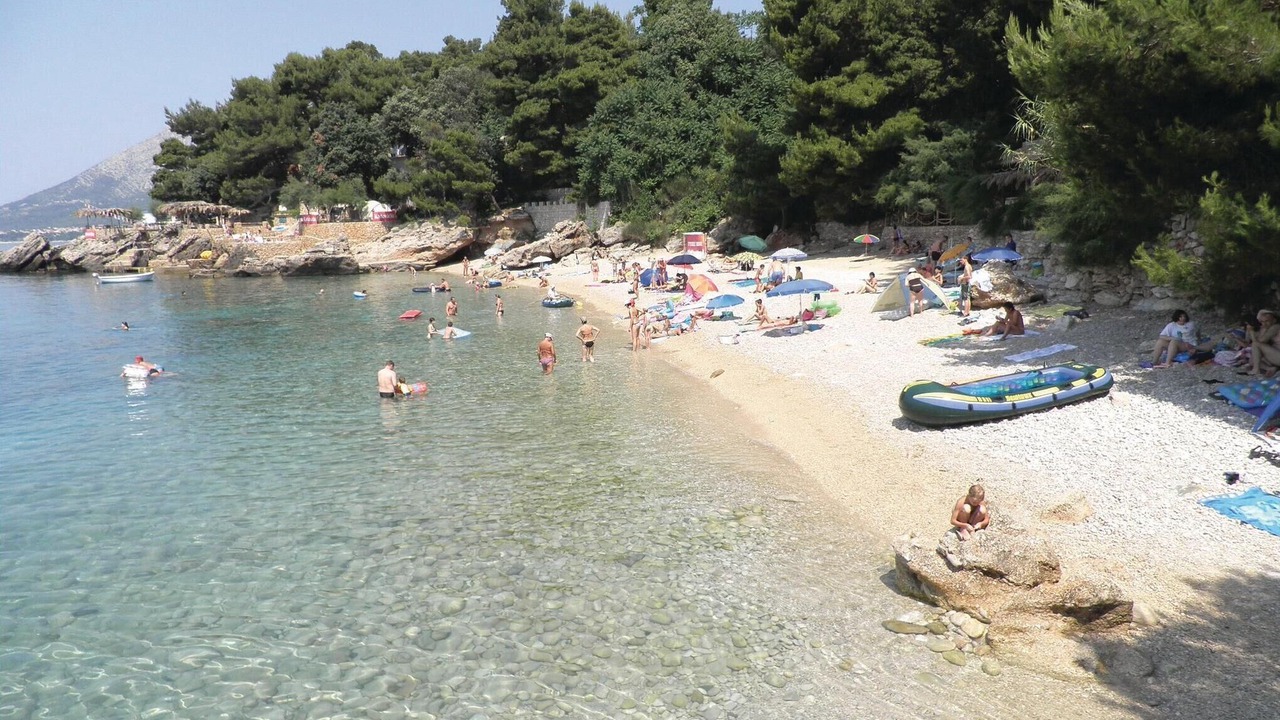 Photo of Others in Broce