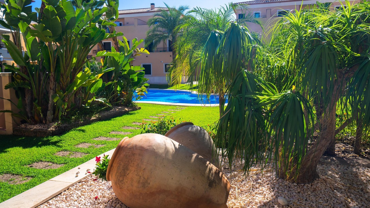 Photo of Outdoor in Platja de l'Arenal