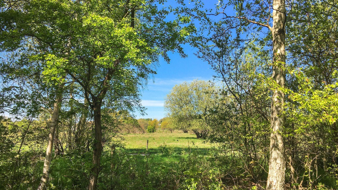 Photo of Others in Gilleleje