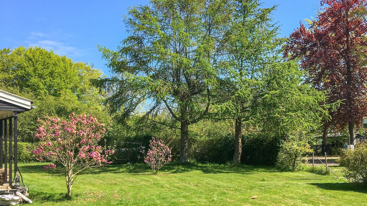 Photo of Outdoor in Gilleleje