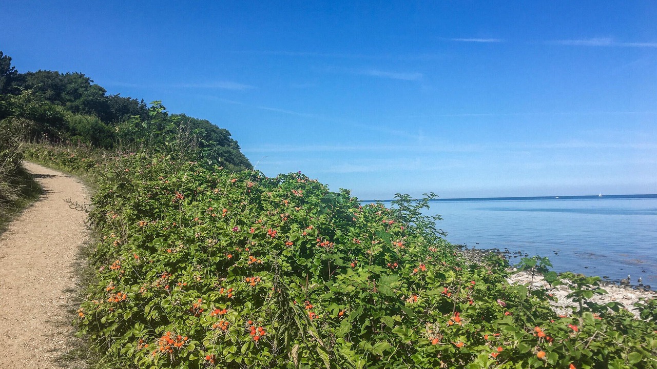 Photo of Others in Gilleleje