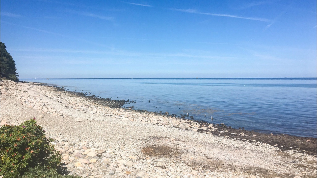 Photo of Others in Gilleleje