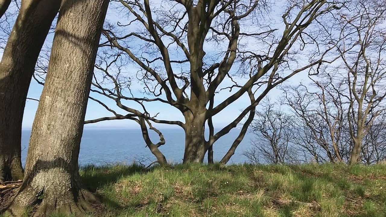 Photo of Others in Gilleleje