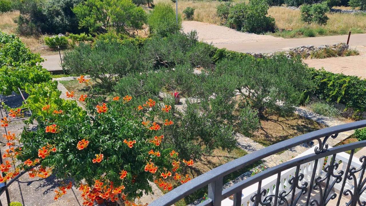 Photo of Outdoor in Primosten Burnji