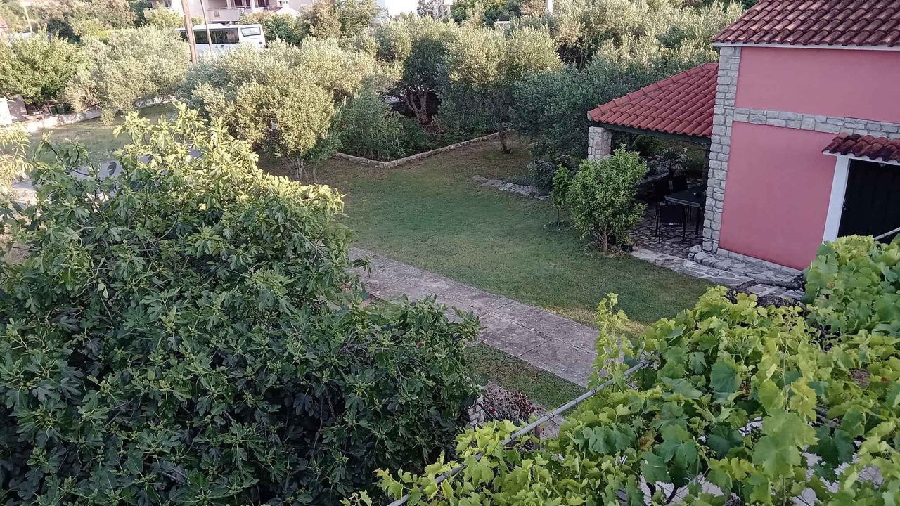 Photo of Outdoor in Tkon