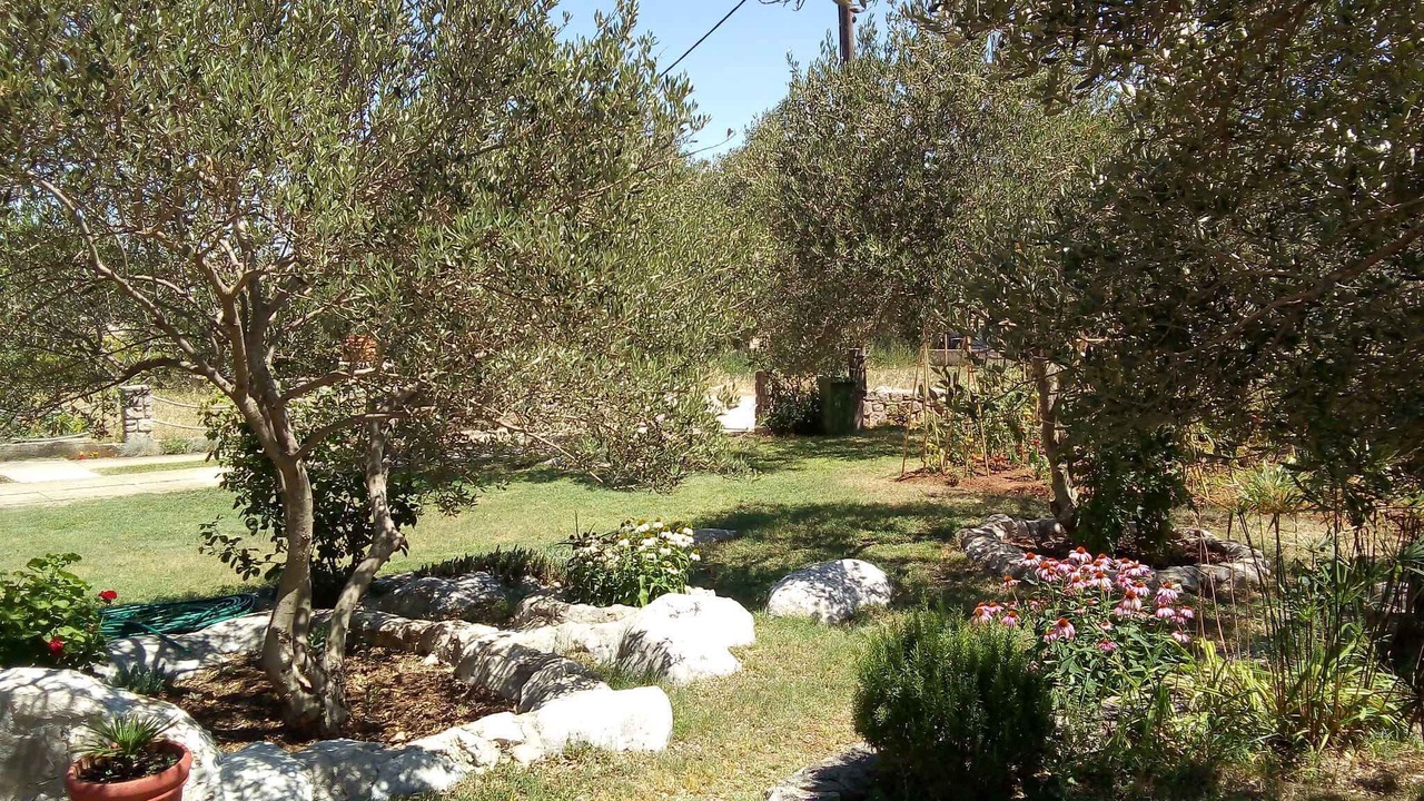 Photo of Outdoor in Tkon