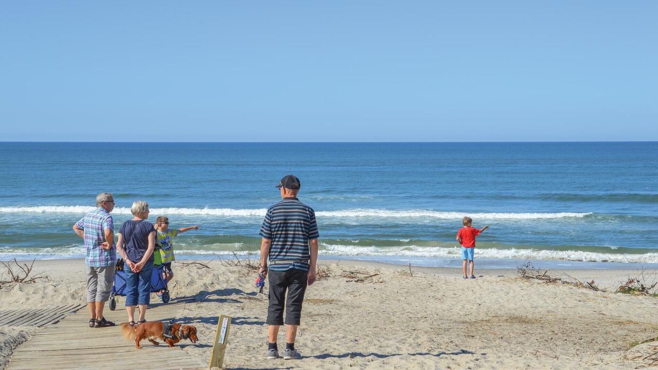 Photo of Others in Sondervig