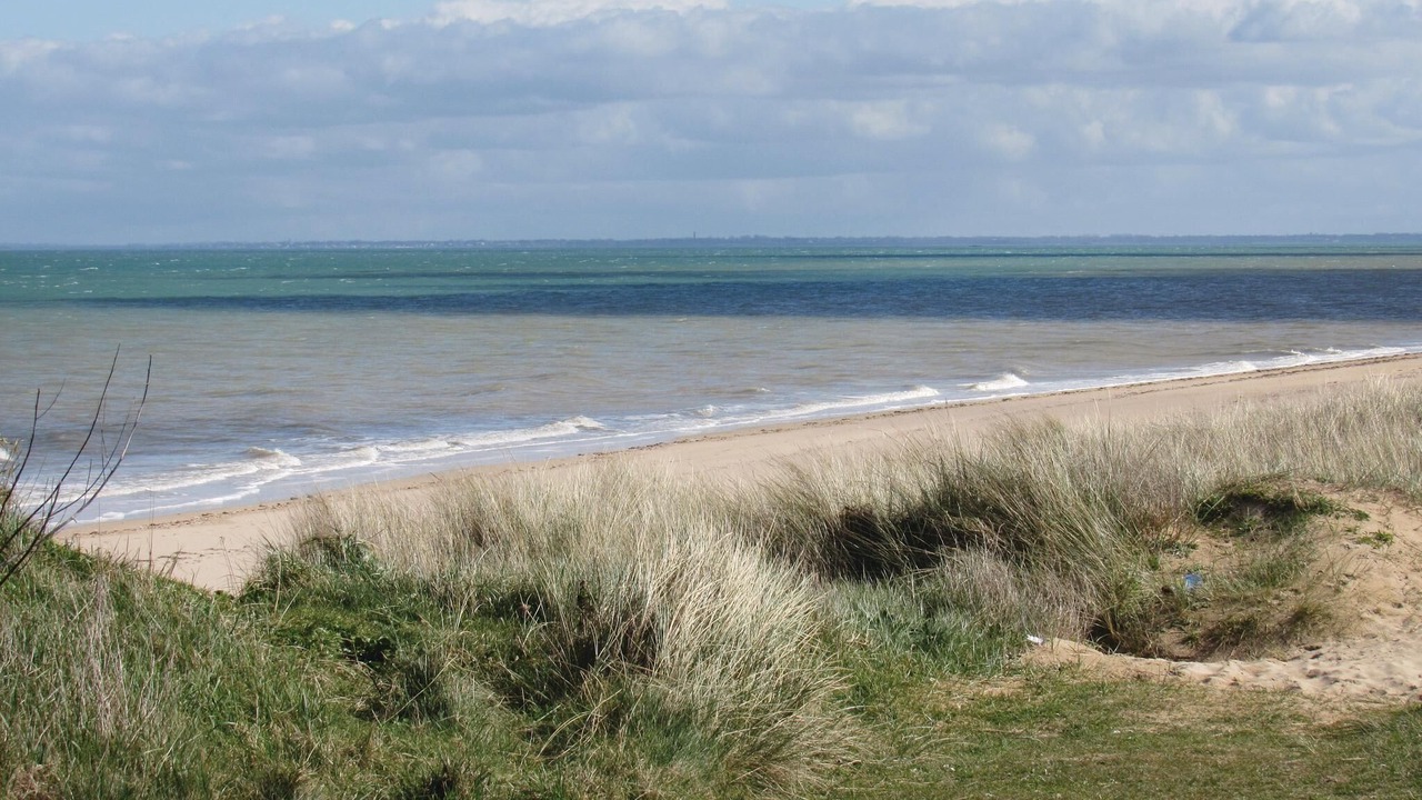 Photo of Others in Saint-Marcouf