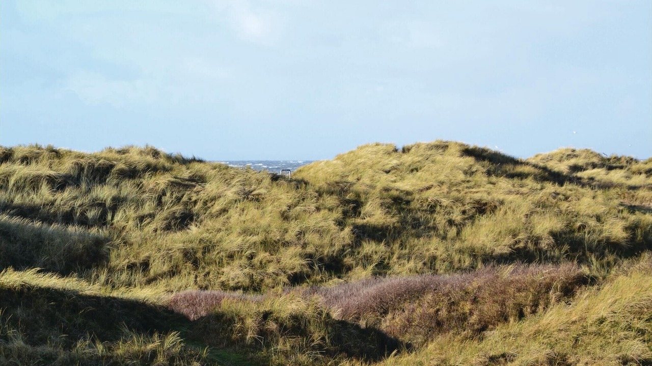 Photo of Others in Rindby Strand