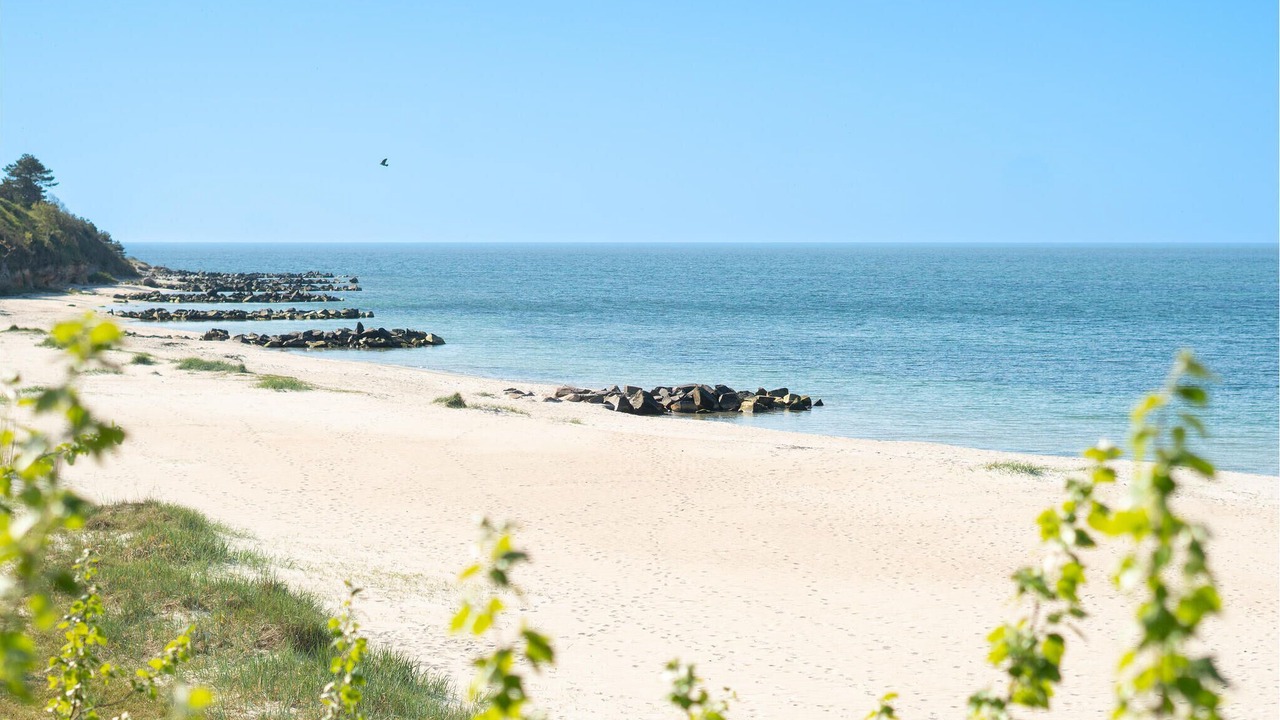 Photo of Others in Ronne