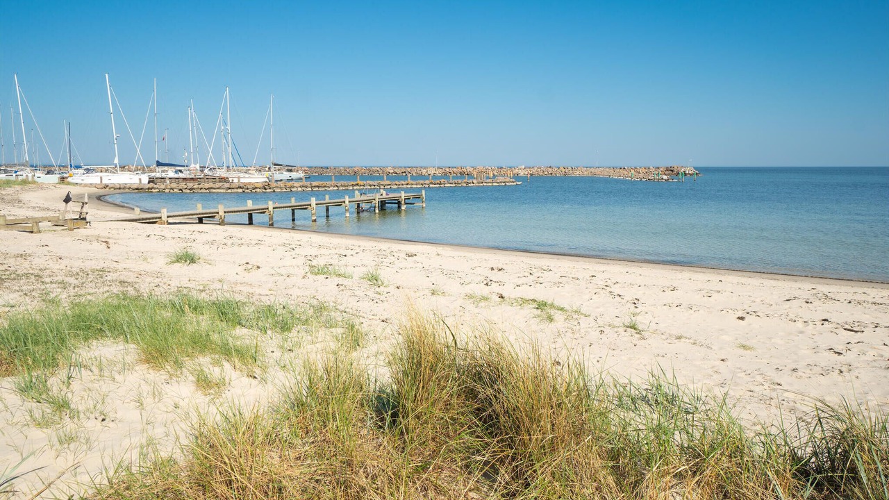 Photo of Others in Ronne