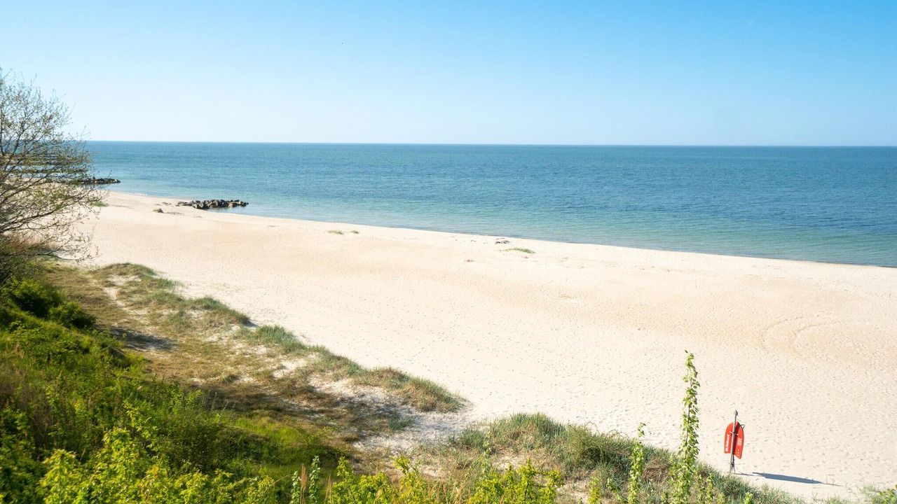 Photo of Others in Ronne