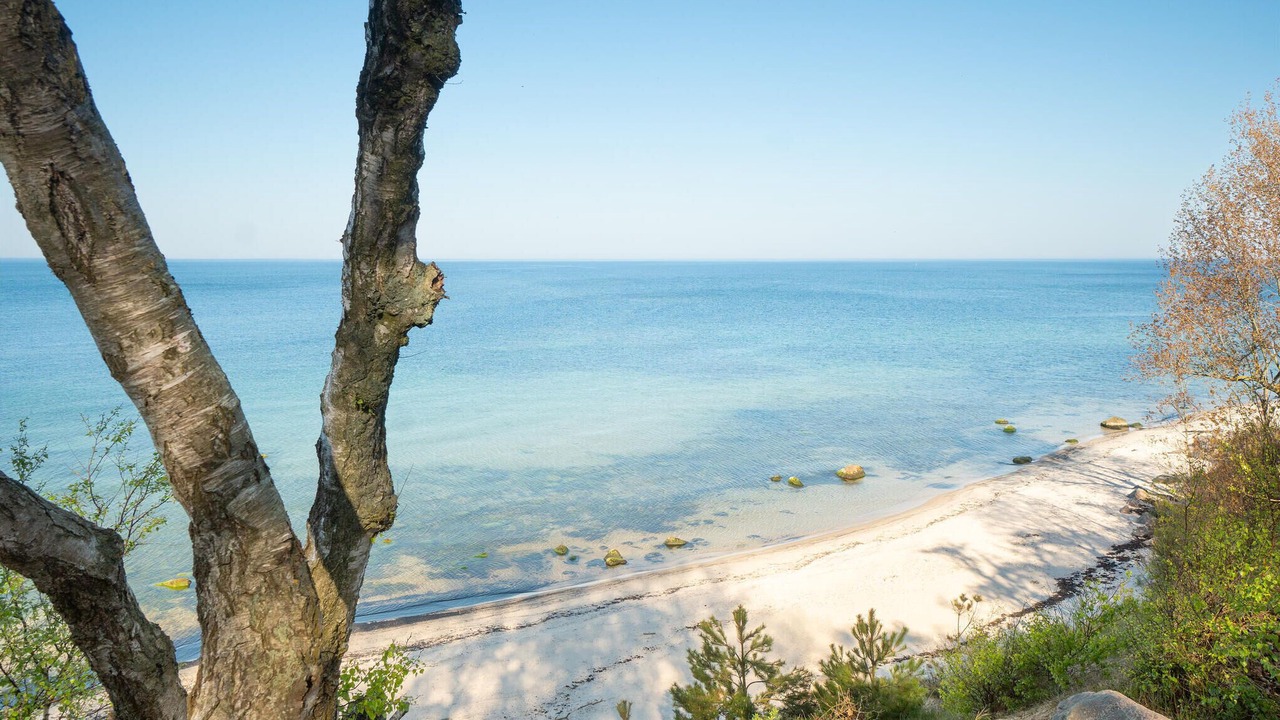 Photo of Others in Ronne