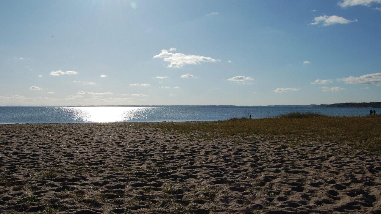 Photo of Others in Hejsager Strand