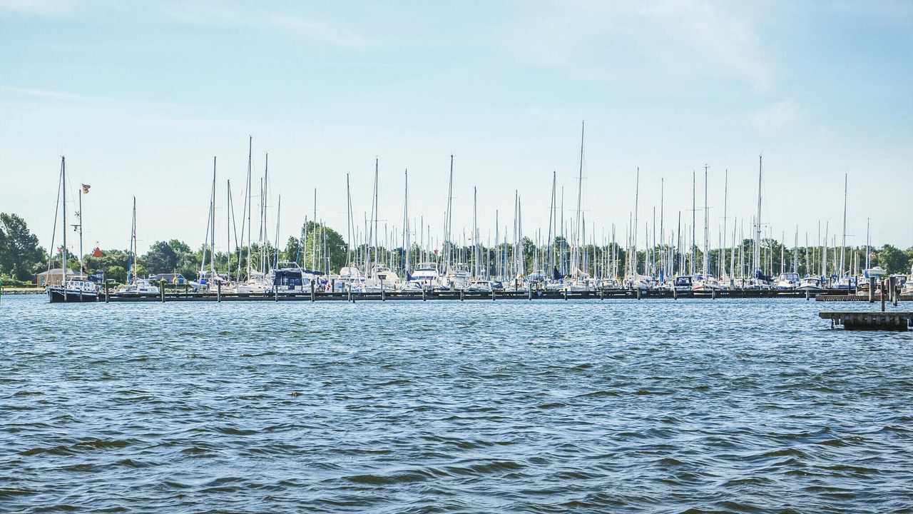 Photo of Others in Assens