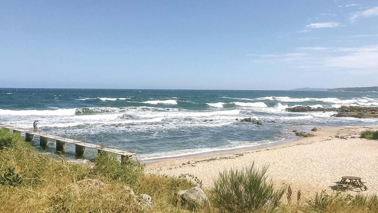 Photo of Others in Sandkaas