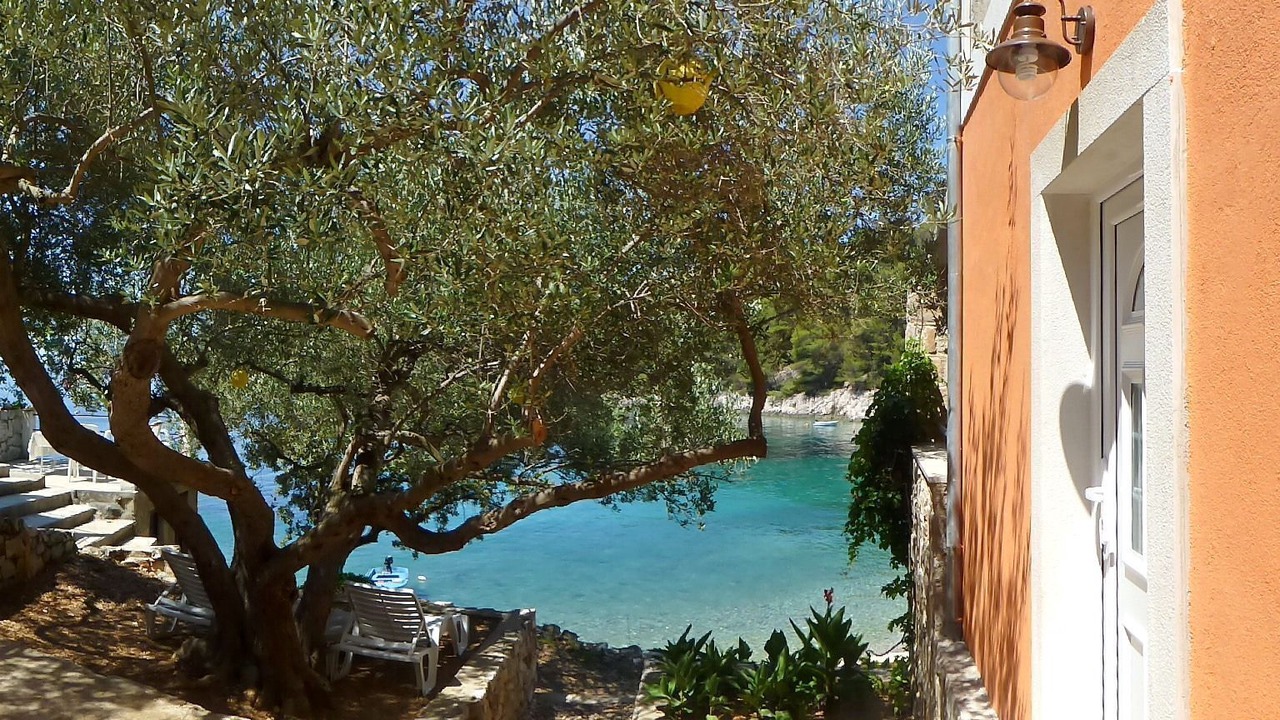 Photo of Outdoor in Gdinj