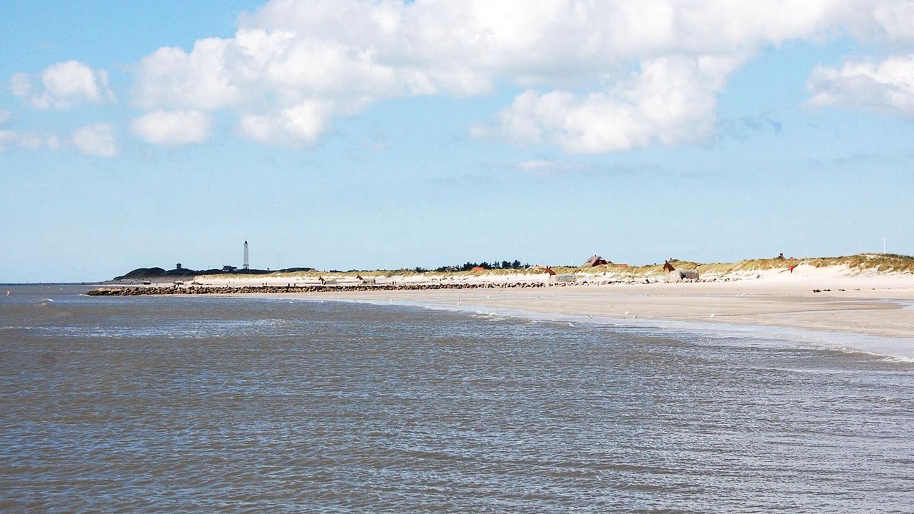 Photo of Others in Blavand Strand