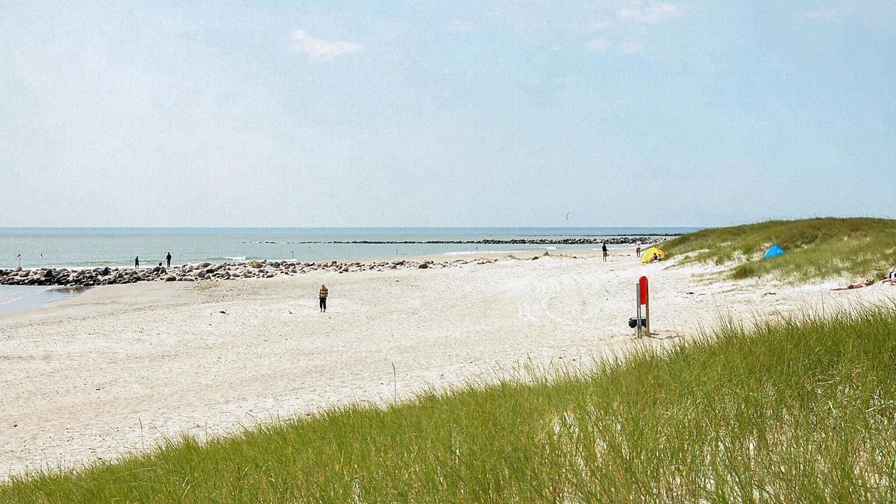 Photo of Others in Blavand Strand