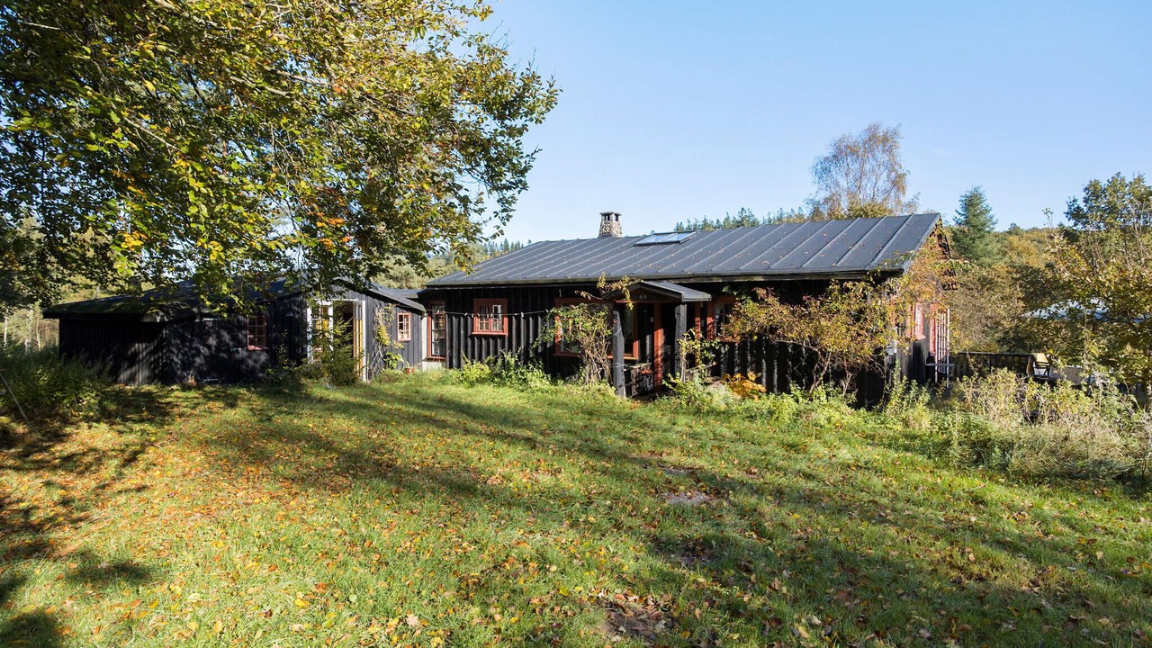 Photo of Others in Skygge